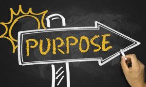 Chief Sales Leader Purpose