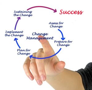 consulting management change