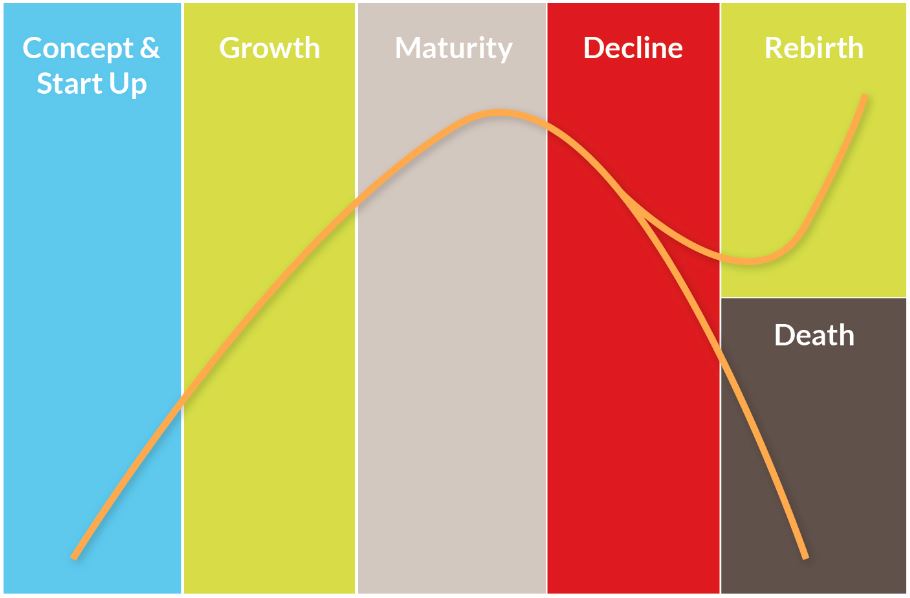 Business Life Cycle