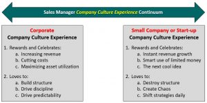 Culture - Firing and Replacing Your Sales Manager