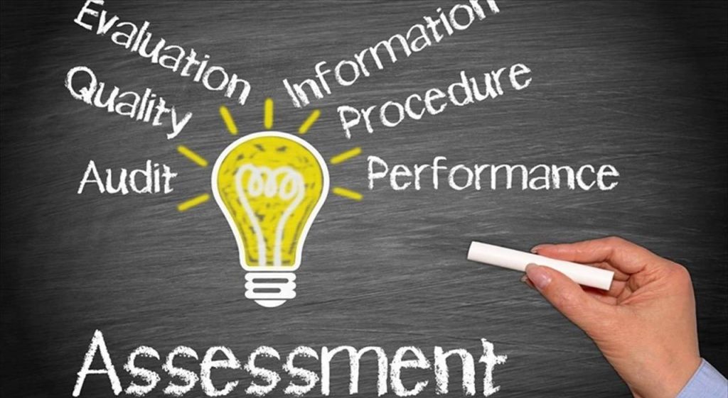 Chief Sales Leader Assessment Image