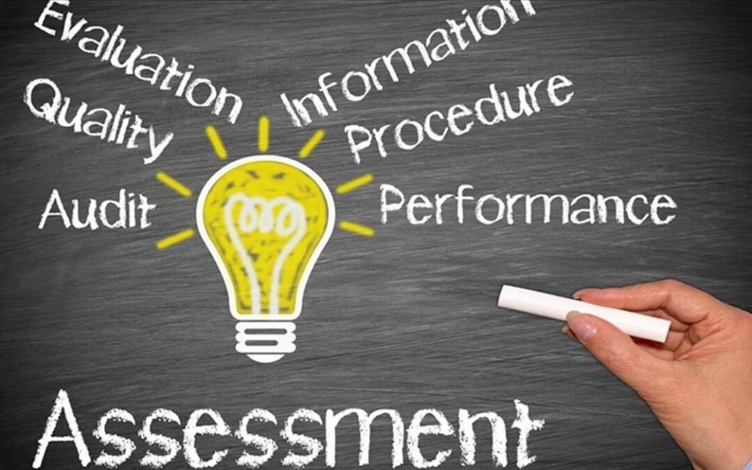 Chief Sales Leader Assessment Image